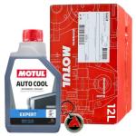 Auto cool Expert cartone da 12 LT