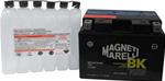 BATTERIA MAGNETI MARELLI YTZ14SBS